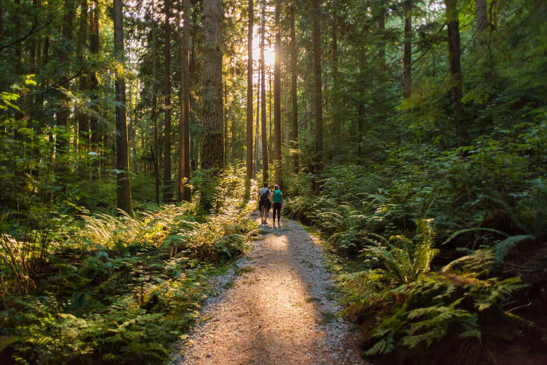 Maple Ridge delivers an authentic west coast close-to-nature lifestyle